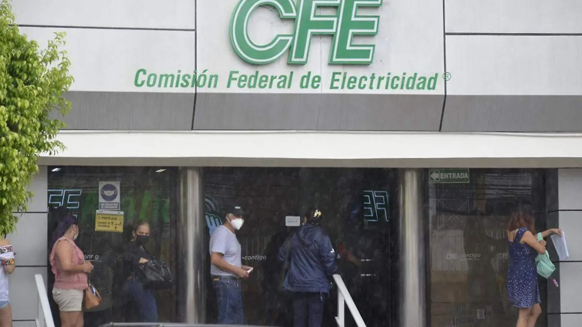 CFE-Chávez copia